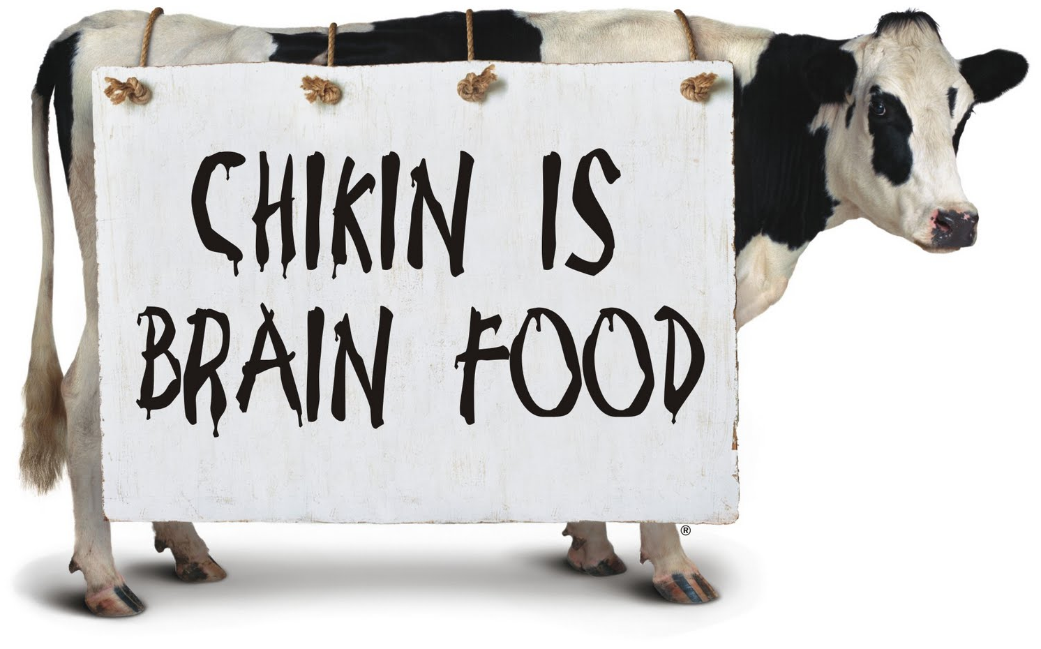chikin_is_brain_food_cow_chick-fil_a.png